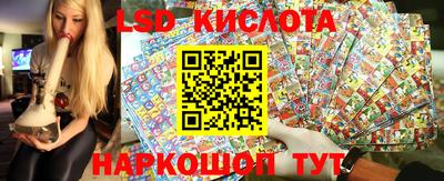 стафф Заводоуковск