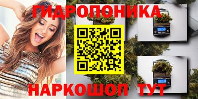 стафф Заводоуковск