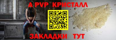 стафф Заводоуковск